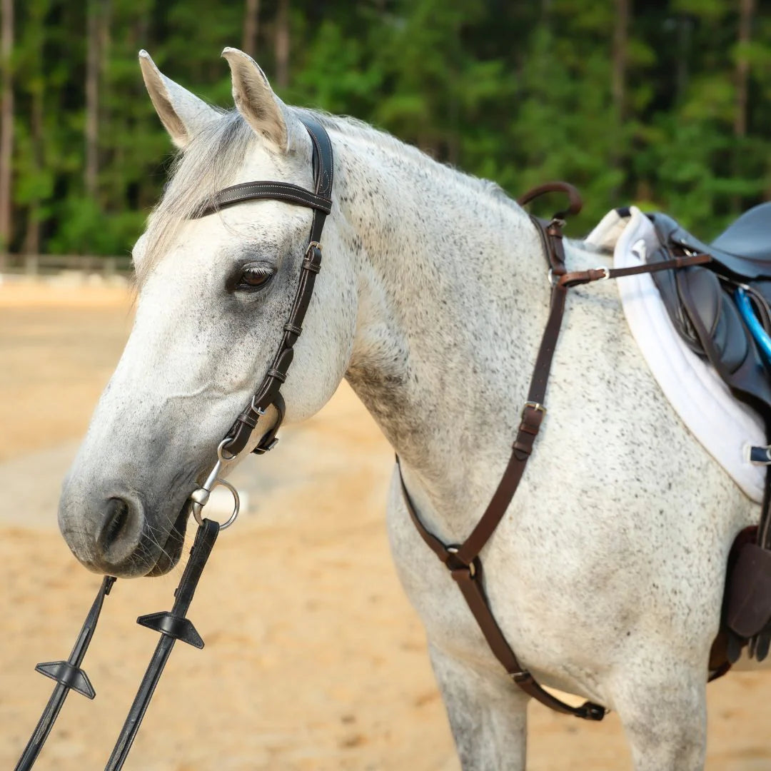 Correct Connect 3-Point Breastplate with Double Neck Strap