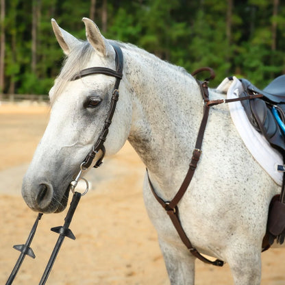 Correct Connect 3-Point Breastplate with Double Neck Strap