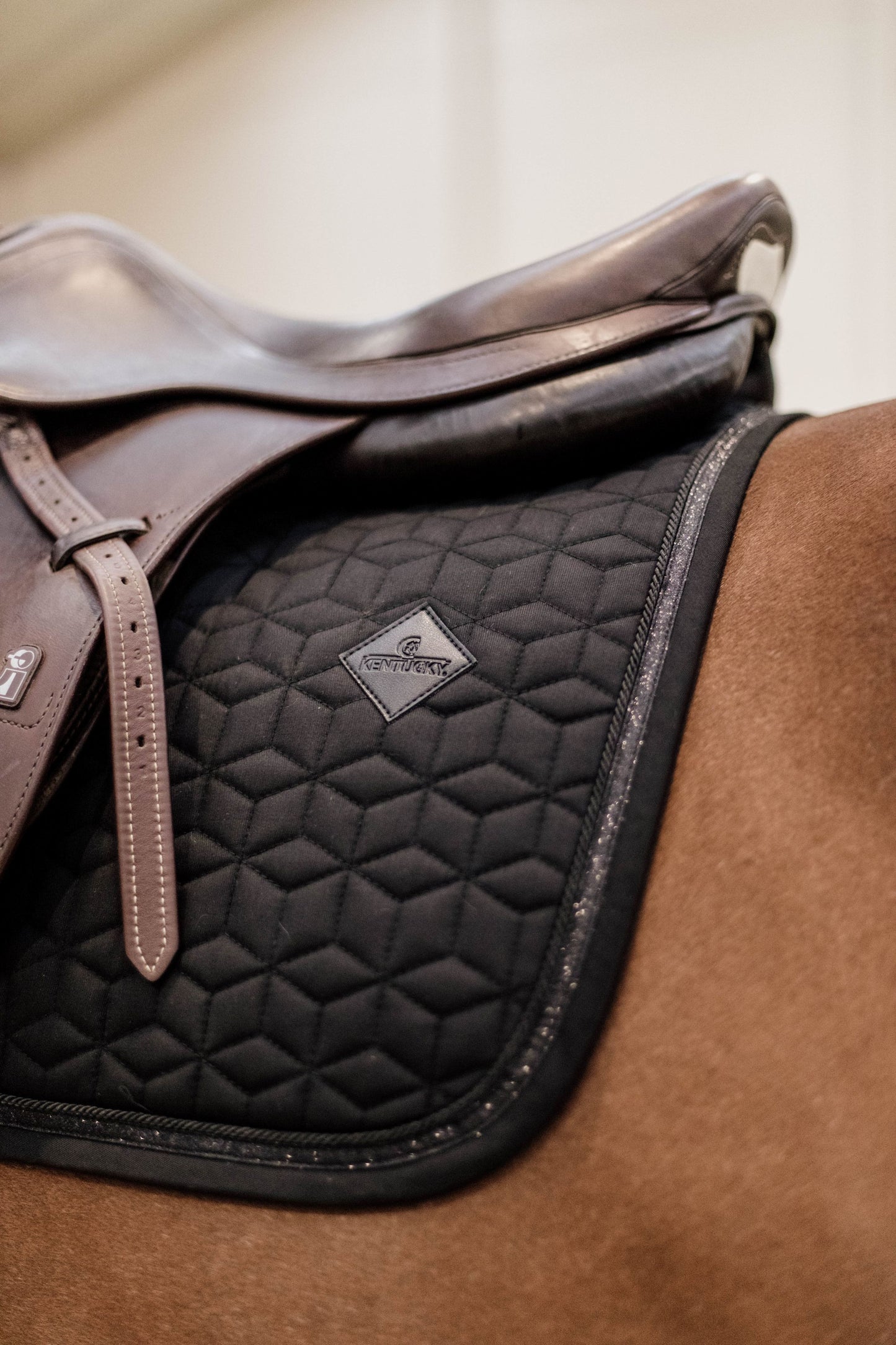 Kentucky Glitter Rope Saddle Pad Jump | Navy or Black