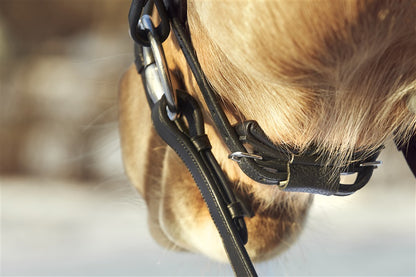 Finesse Snaffle Bridle Spirit Drop Noseband | Flat Leather