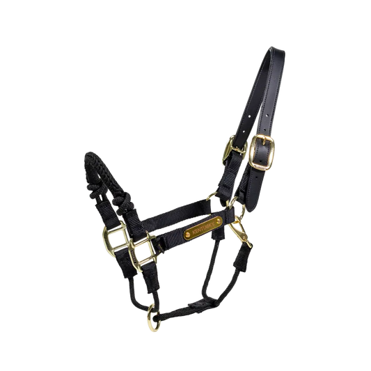 Kentucky Training / Control Halter Black