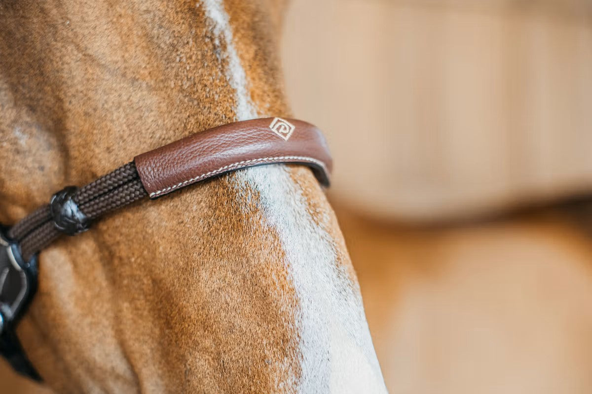 Working by Dy'on Bitless Bridle