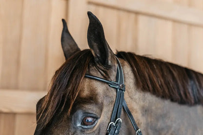 Working By Dy'on Round Leather Noseband Bridle - PREORDER