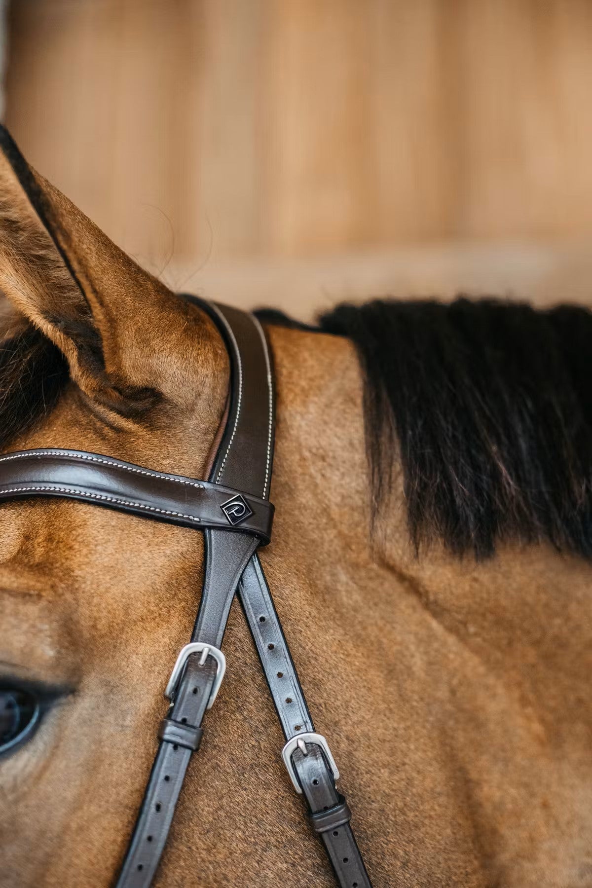 Working by Dy'on Bitless Bridle