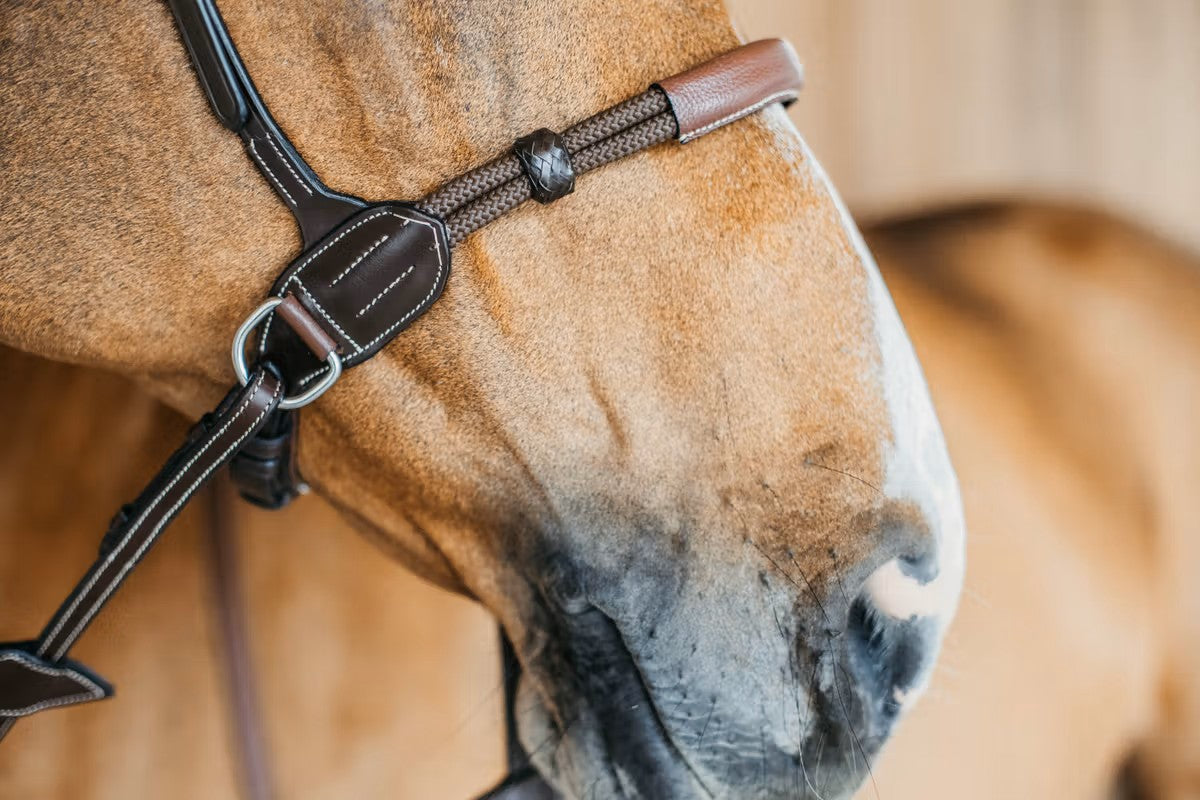 Working by Dy'on Bitless Bridle