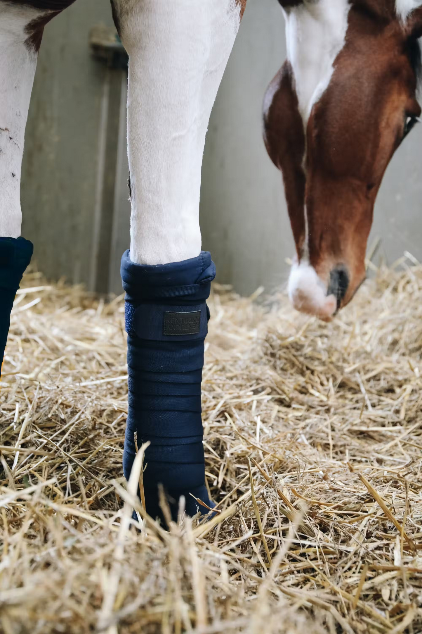 Kentucky Repellant Stable Bandages set of FOUR | Navy or Black