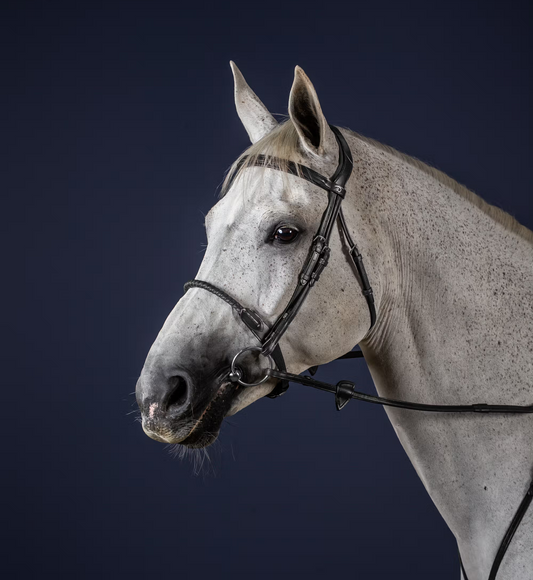 Dy'on Leather Covered Rope Noseband Bridle | Black Full