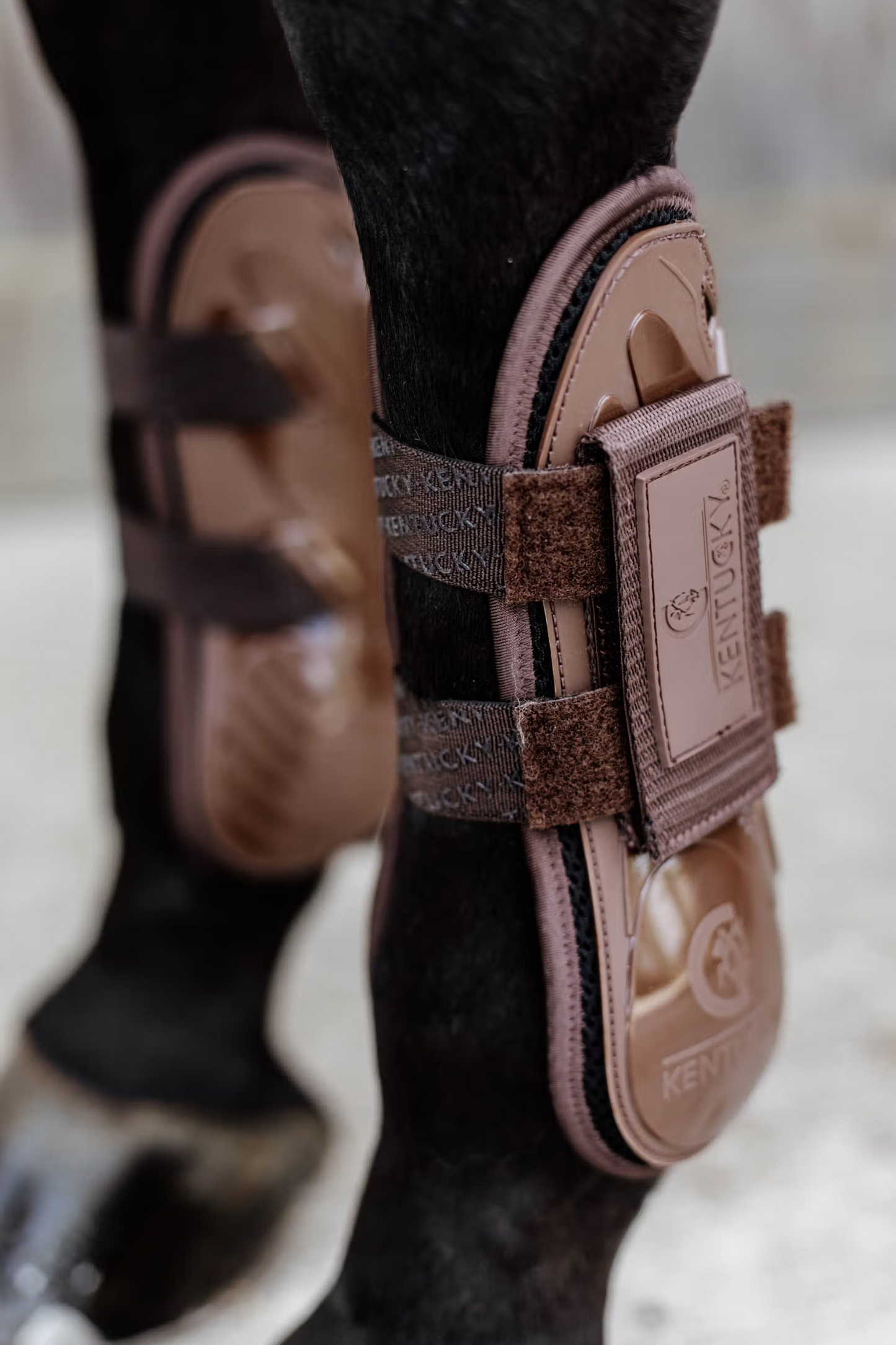 Kentucky Tendon Boot Velcro