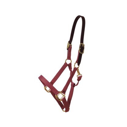 Kentucky Nylon Breakaway Halter | Choose Colour
