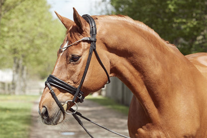 Finesse Snaffle Bridle Cassidy V2.0 | Rolled Black Leather with Silver Clincher Browband