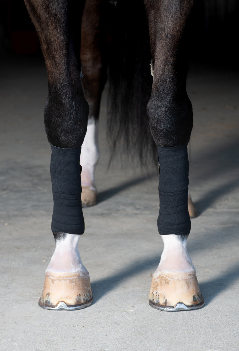 Incrediwear Equine Circulation Exercise Bandages BLACK