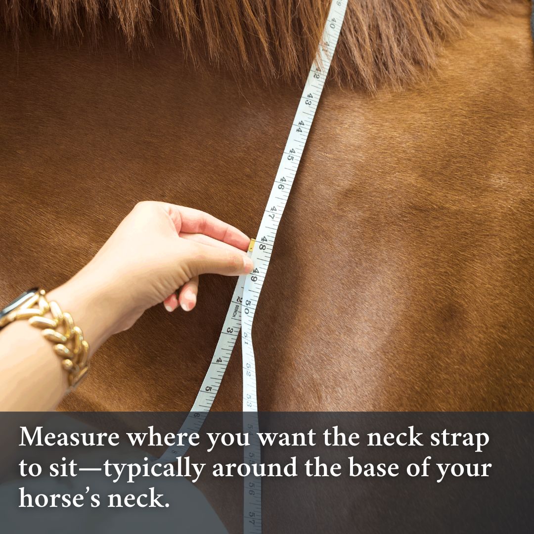 Correct Connect Double Neck Strap