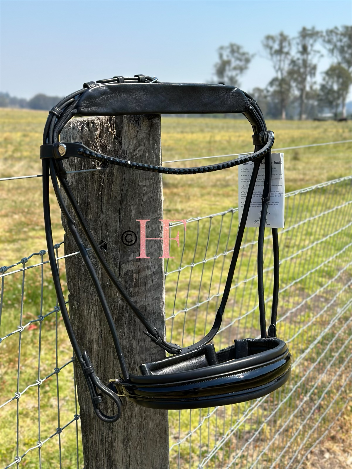 Finesse Special Bridle Package: Cassidy Full Size Black Crystal No Flash