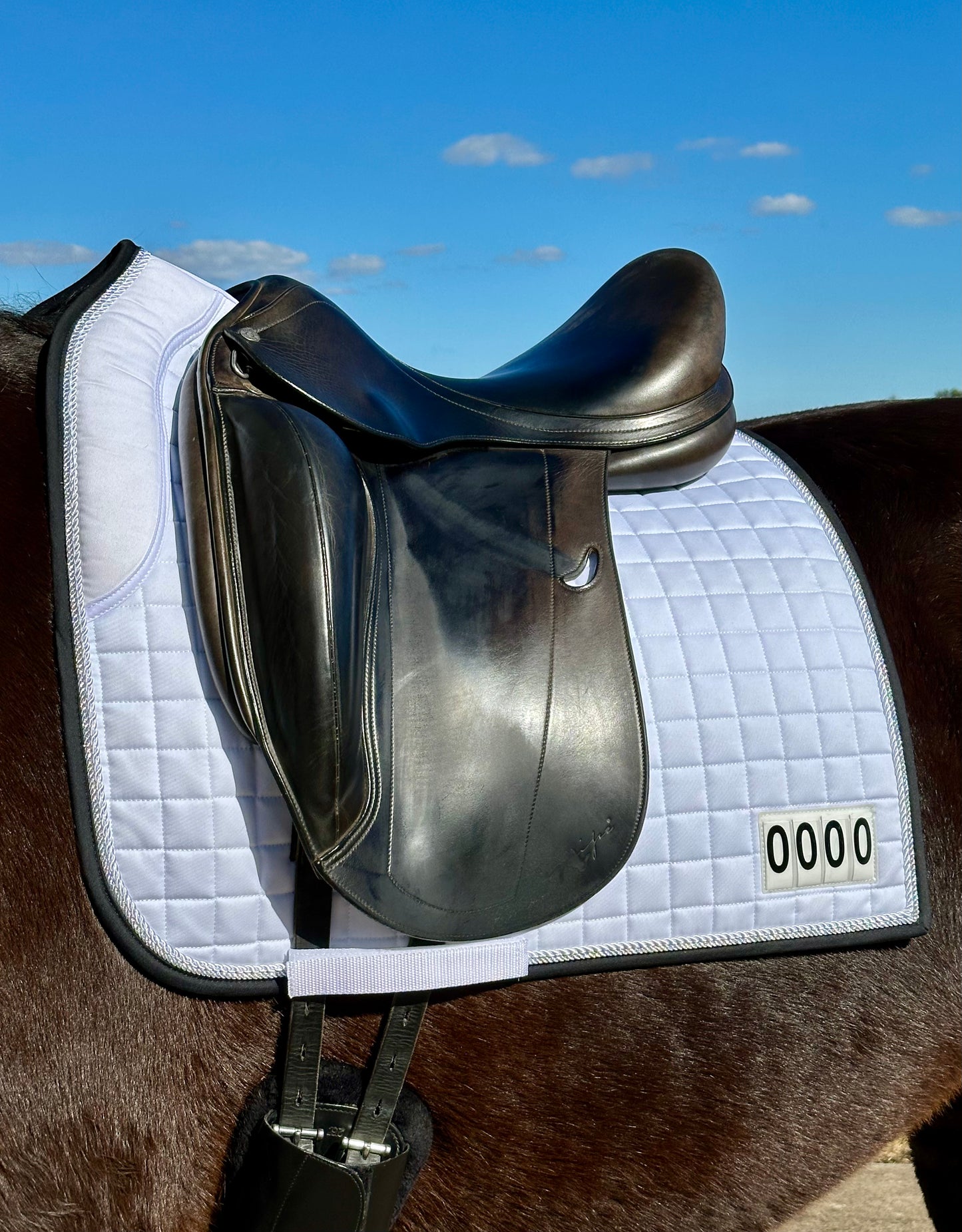 Horse Fashion Australia Dressage Competition Pad V2.0 with Numbers