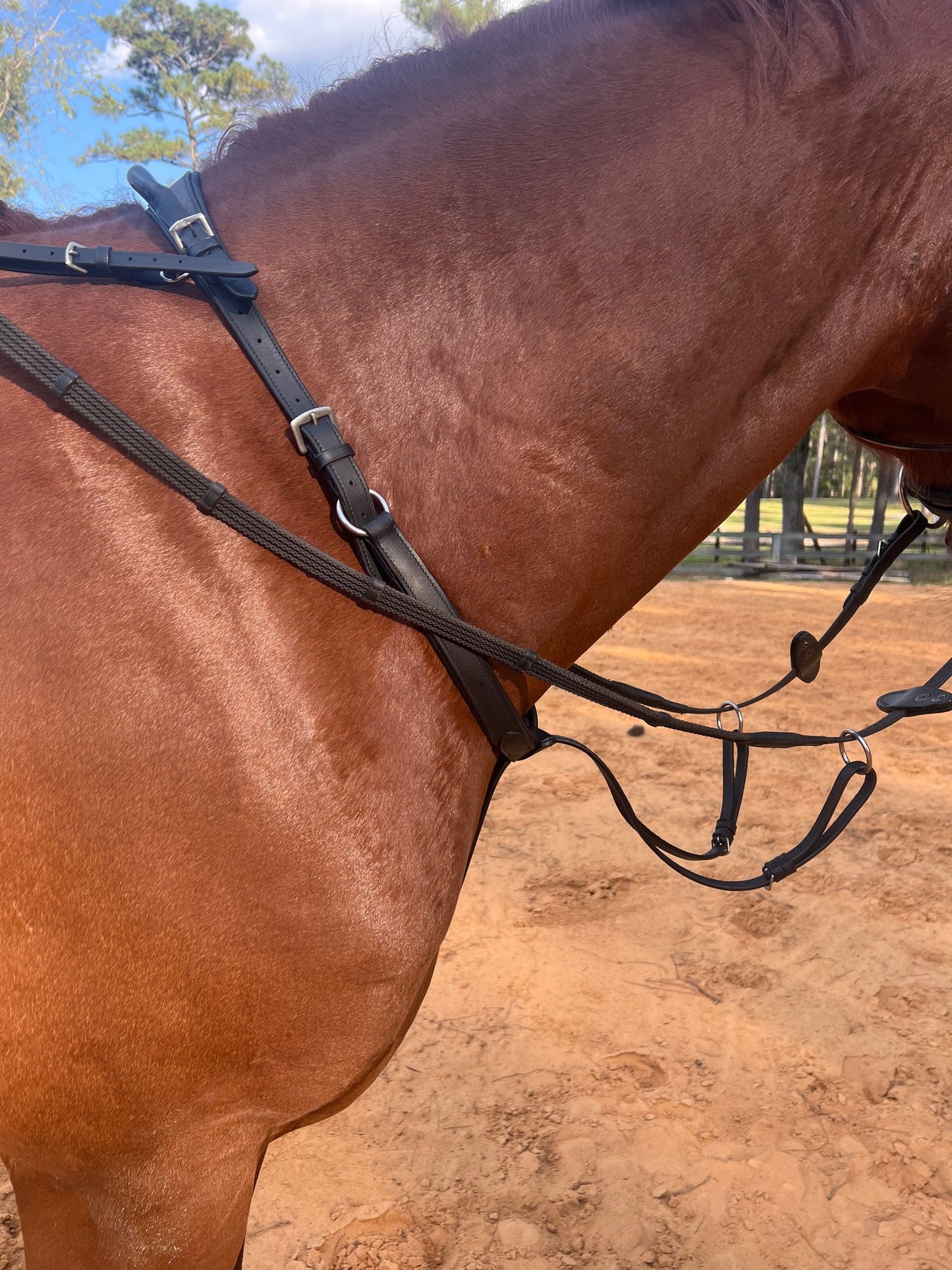 Correct Connect Running Martingale Attachment for Neck Strap