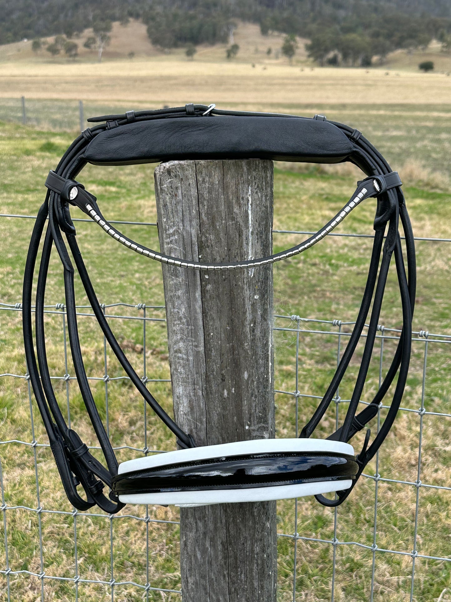 OUTLET Finesse Cassidy Double Bridle Full Size Lacquer Black/White