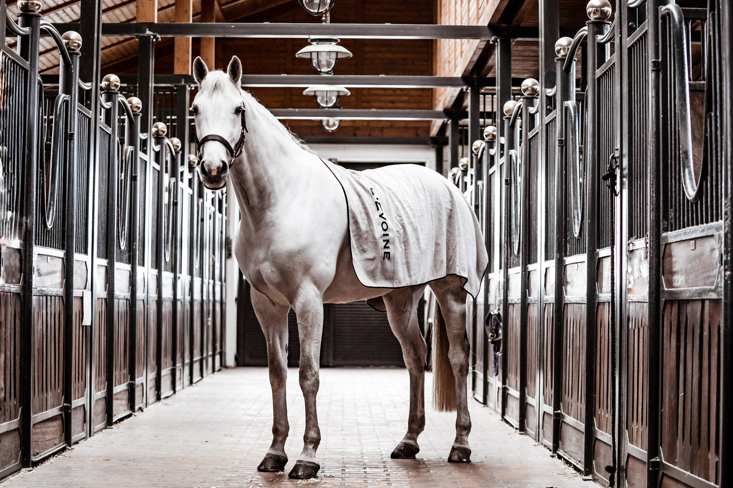 Luxe Equestrian Gift Box | L'Evoine Terry Blanket + Bridle Towel