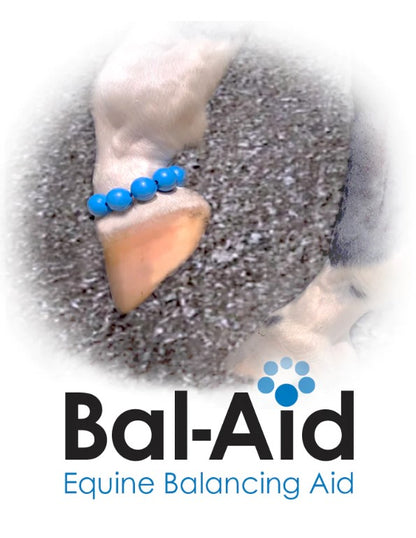 Bal Aid - Equine Balancing Aide - Correct Connect