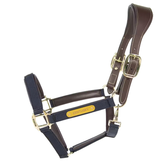 Kentucky Nylon Anatomic Halter