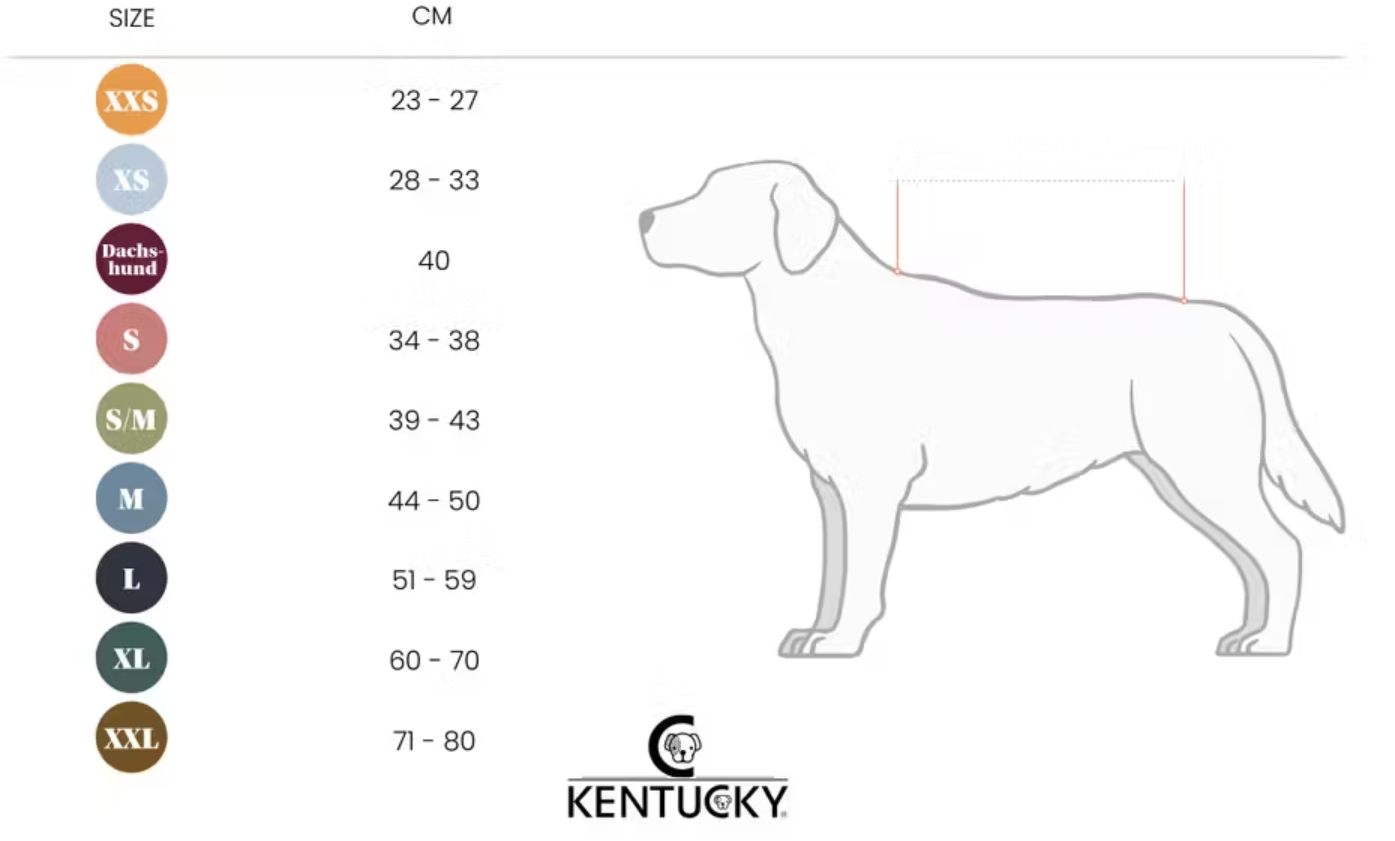 Kentucky Dog Rug Original Purple | Choose Size