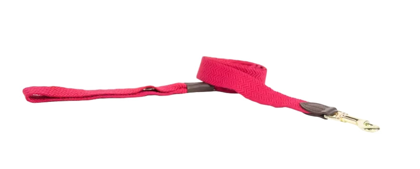 Kentucky Jacquard Dog Collar + Lead SET | Light Blue or Pink