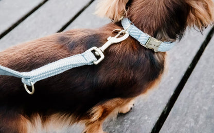 Kentucky Wool Dog Collar + Lead Set | Light Blue
