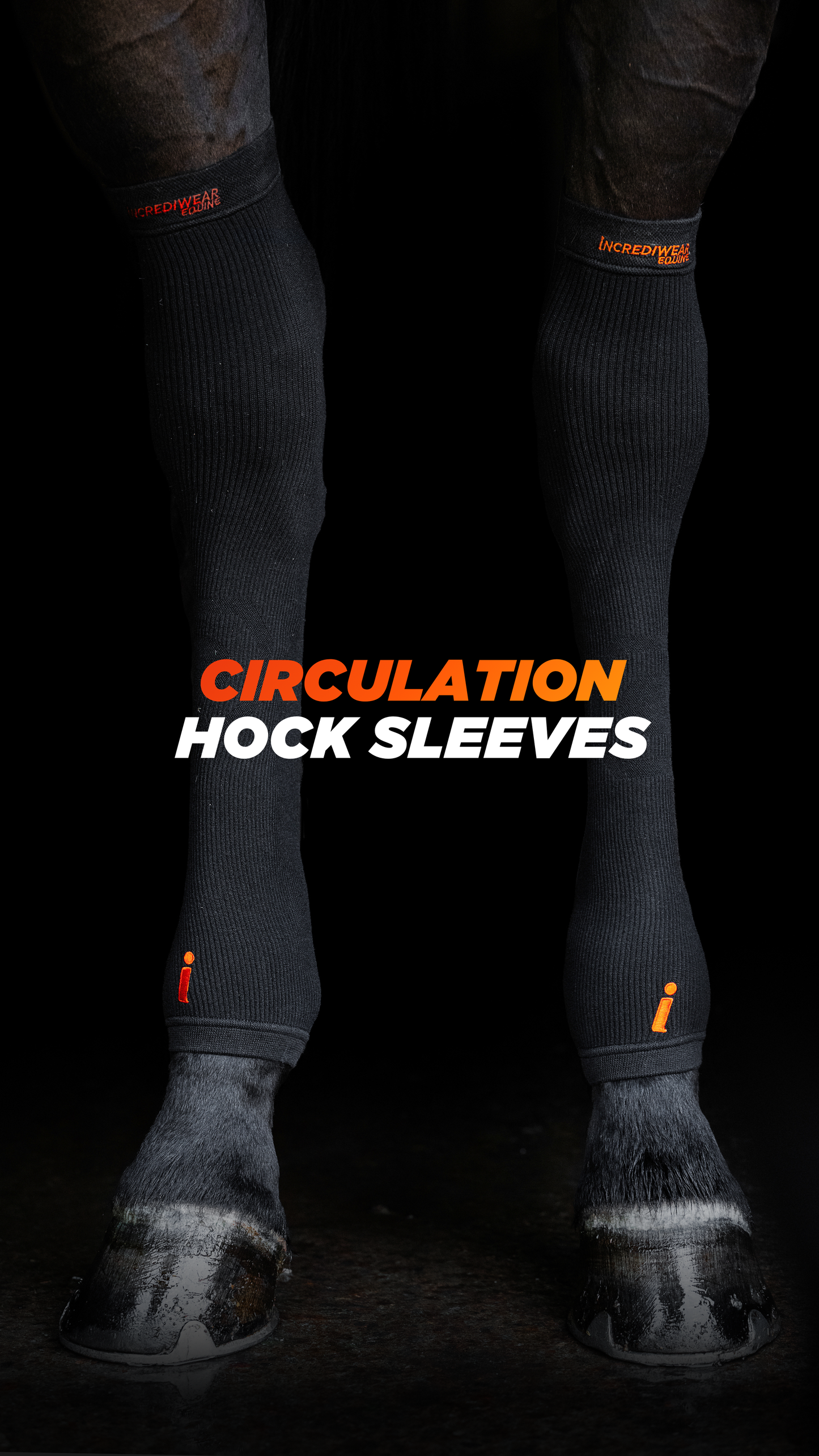 Incrediwear Equine Circulation Hock Sleeves