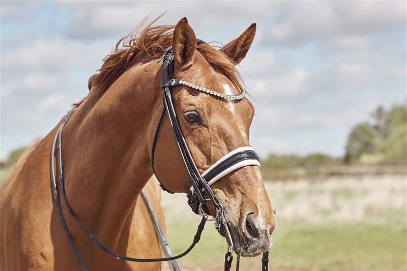 Finesse Double Bridle Cassidy V2.0 | Rolled Black Leather with Silver Clincher Browband