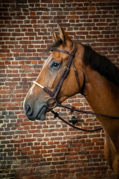 Dy'on D Collection Rope Noseband Bridle