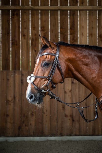 Working by Dy'on Figure 8 Bridle