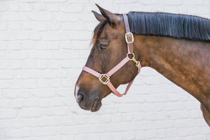 Kentucky Nylon Breakaway Halter | Choose Colour