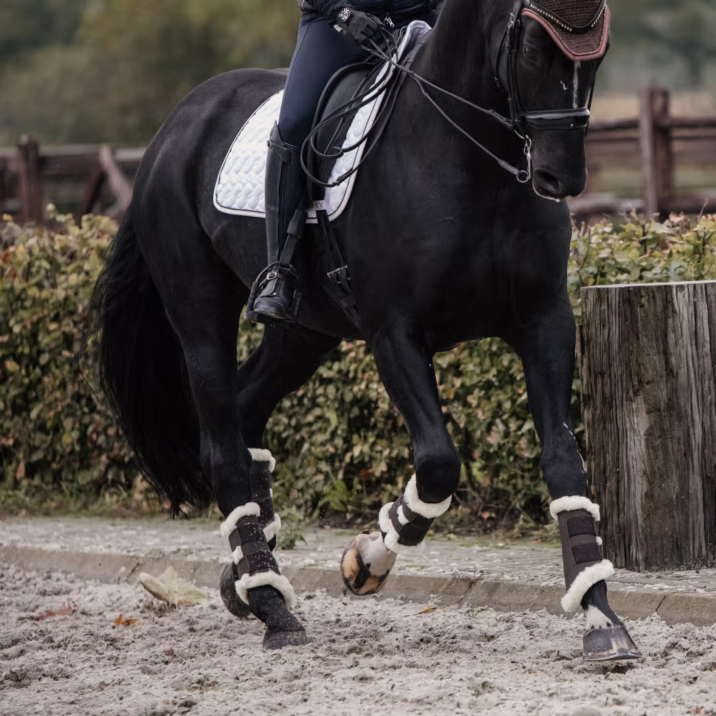 Kentucky Brushing Boots Air | Brown or Black