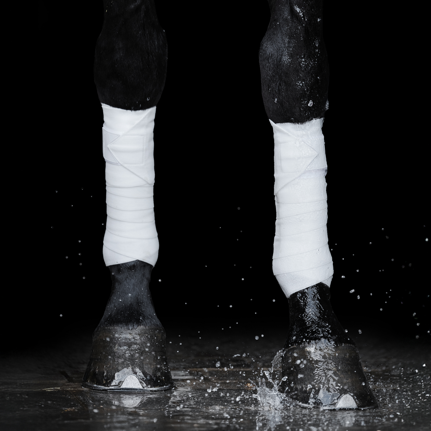 Incrediwear Equine Circulation Exercise Bandages | White | PREORDER