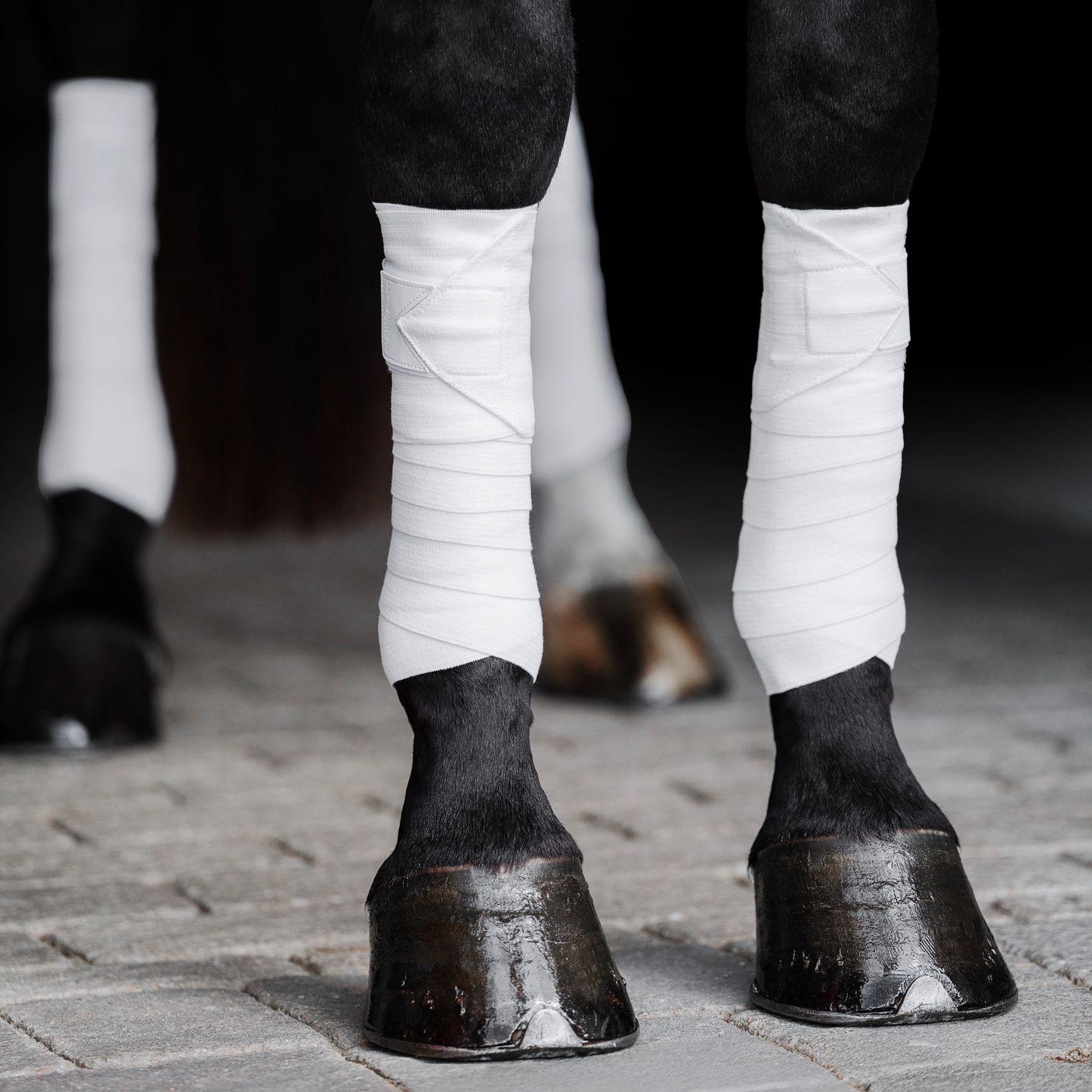 Incrediwear Equine Circulation Exercise Bandages | White | PREORDER