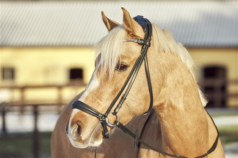 Finesse Snaffle Bridle Spirit Drop Noseband | Flat Leather
