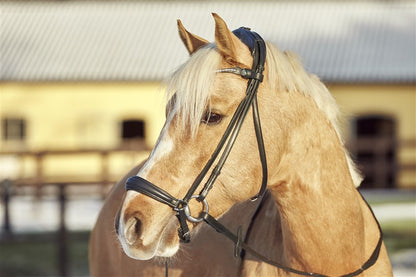 Finesse Snaffle Bridle Spirit Drop Noseband | Flat Leather