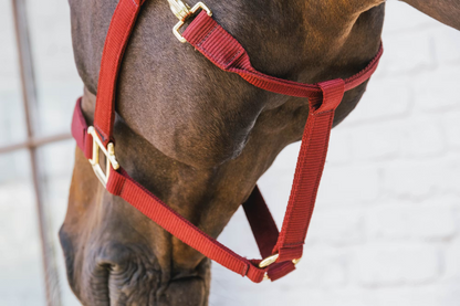 Kentucky Nylon Breakaway Halter | Choose Colour