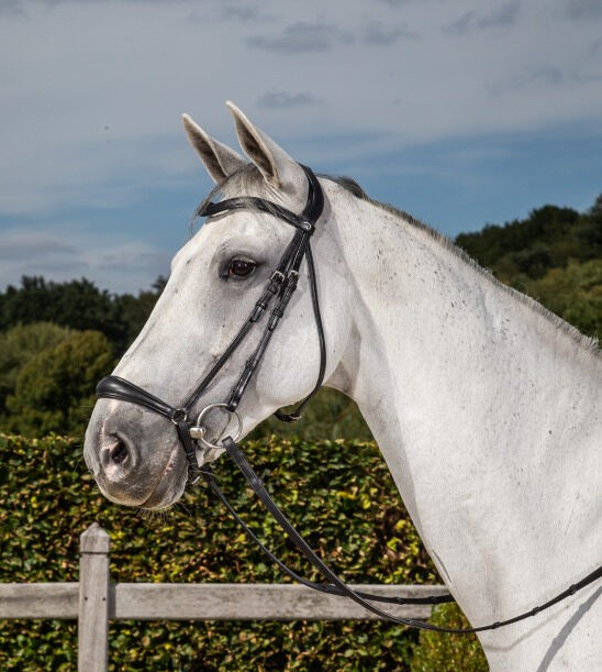 Dy'on Dressage Collection Flat Leather Drop Noseband Bridle