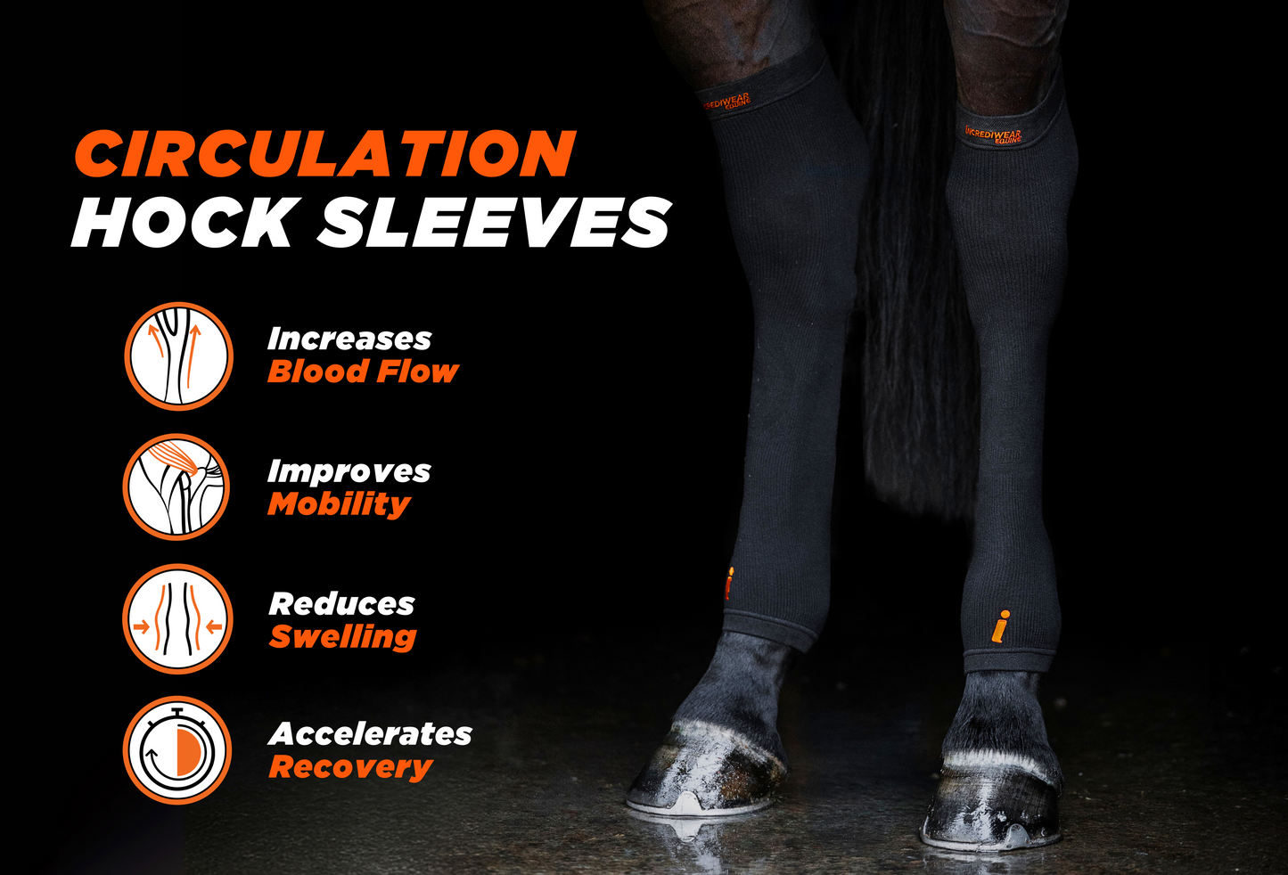 Incrediwear Equine Circulation Hock Sleeves