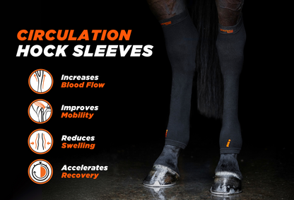 Incrediwear Equine Circulation Hock Sleeves