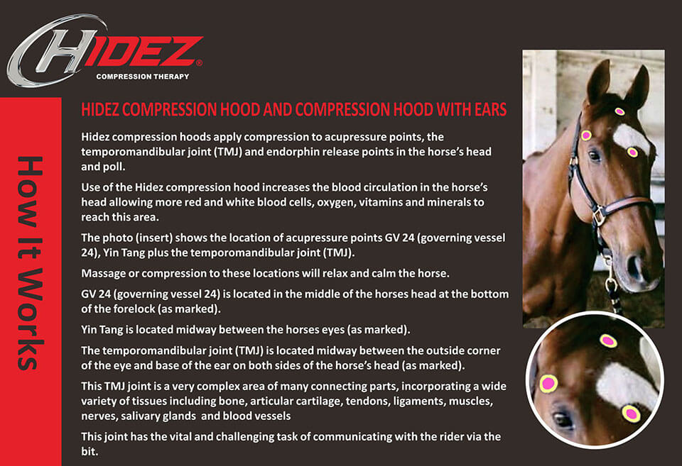 Hidez Compression Hood with Ears + Zip | Preorder