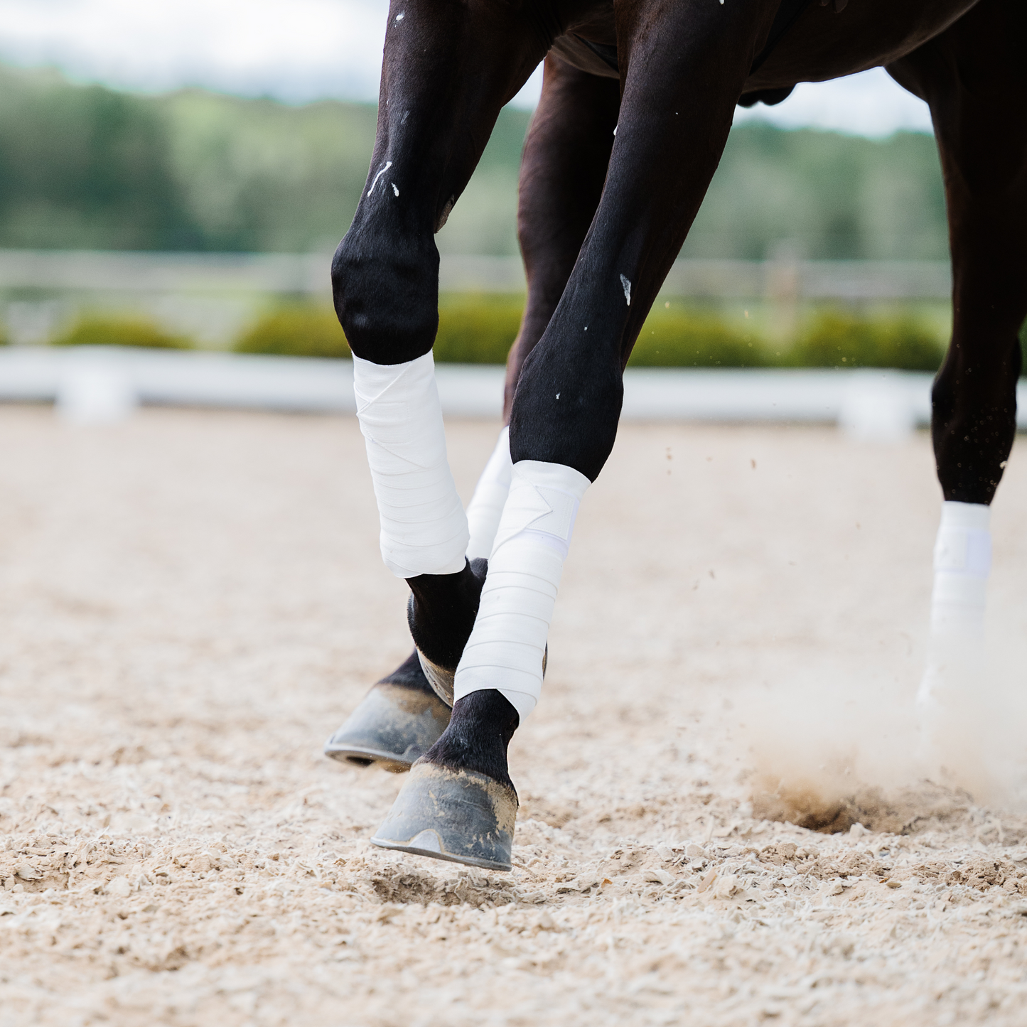 Incrediwear Equine Circulation Exercise Bandages | White | PREORDER