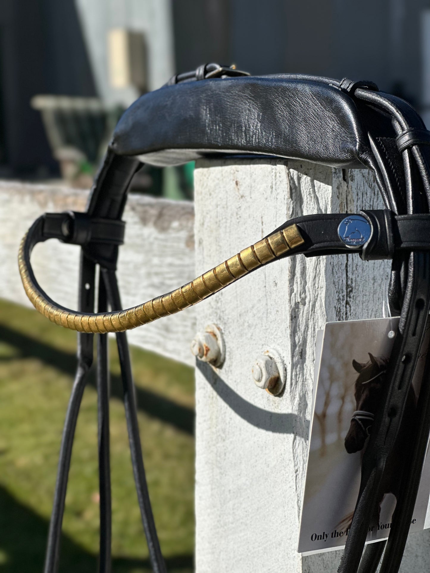 Finesse Cassidy Bridle Special Package - Black and Gold