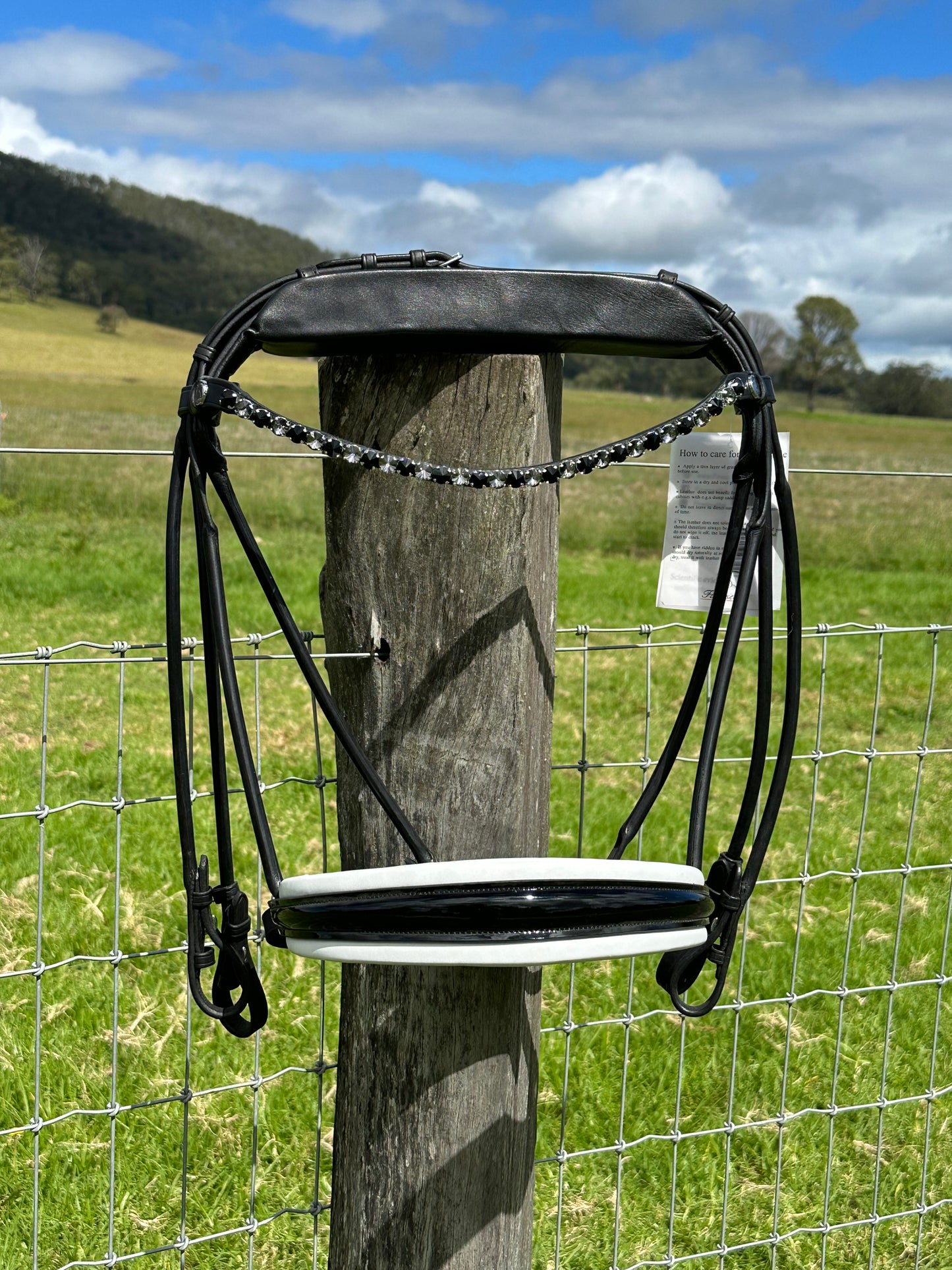 Finesse Double Bridle Special Package - Full Size