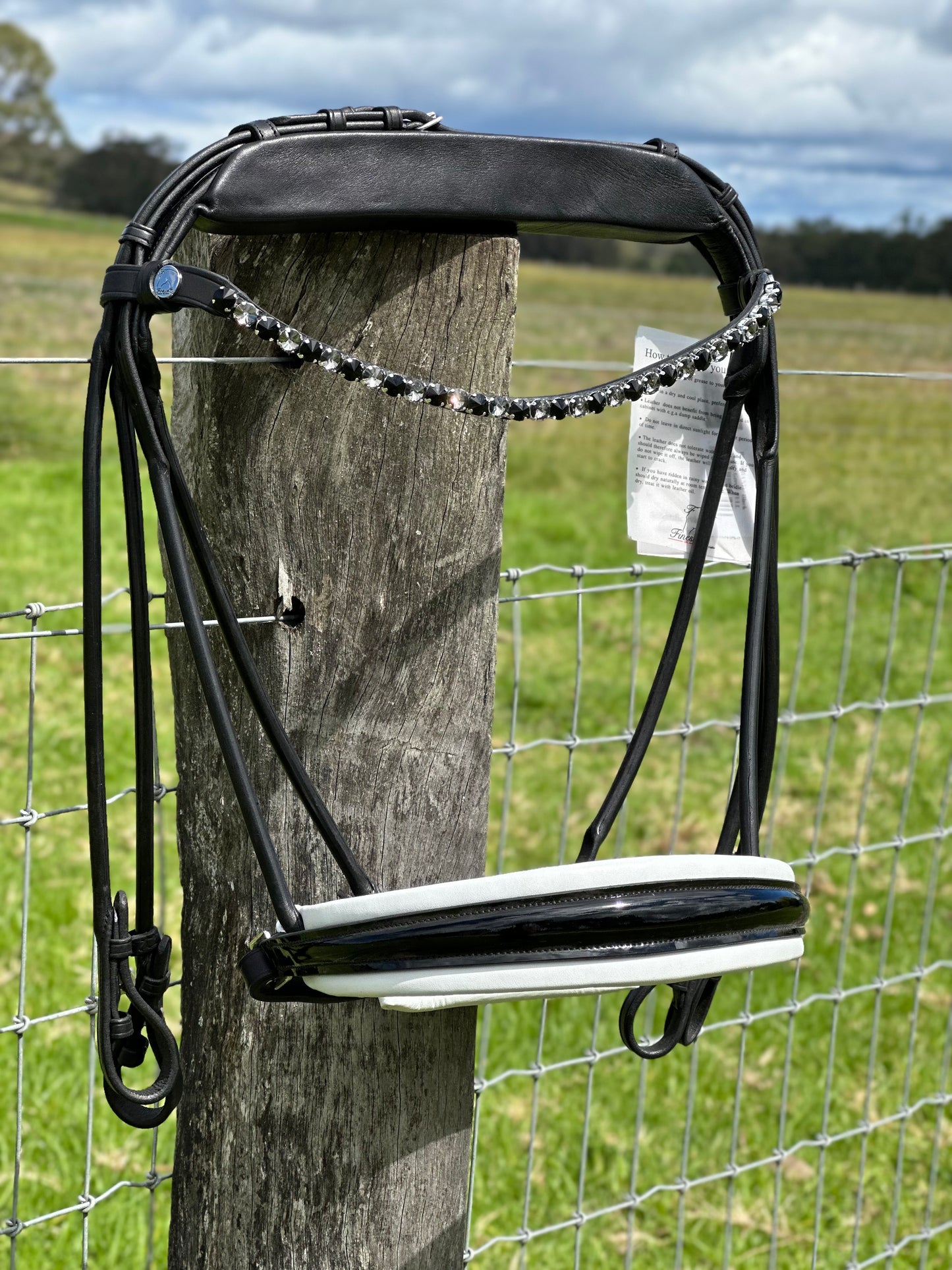 Finesse Double Bridle Special Package - Full Size
