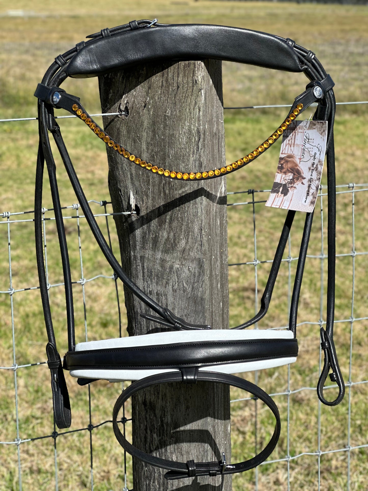 Finesse Cassidy Bridle Special Package - Orange