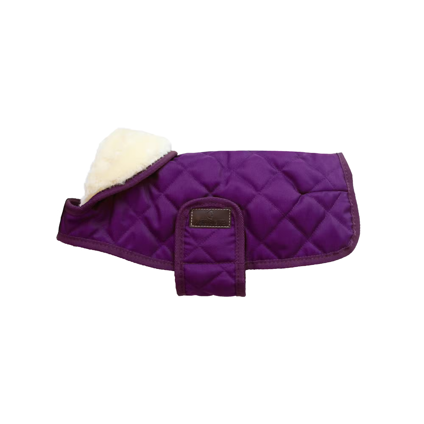 Kentucky Dog Rug Original Purple M or L