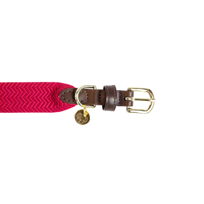 Kentucky Jacquard Dog Collar + Lead SET | Light Blue or Pink