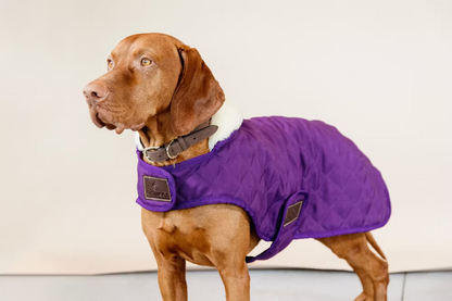 Kentucky Dog Rug Original Purple M or L