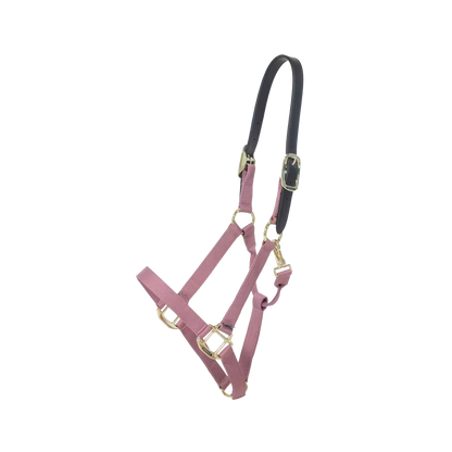 Kentucky Nylon Breakaway Halter | Choose Colour